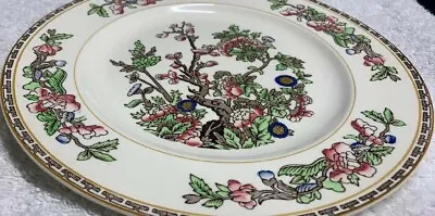 Buy Alfred Meakin England INDIAN TREE W Yellow Verge 10  Dinner Plate EXC • 13.44£