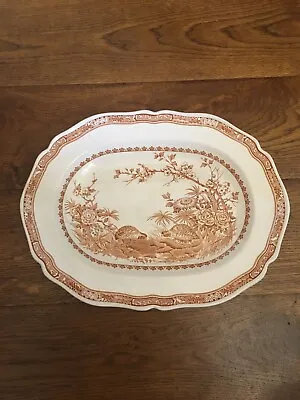 Buy Furnivals Qual 1913 Pink Oval Platter Plate - 34cm By 26cm • 14£
