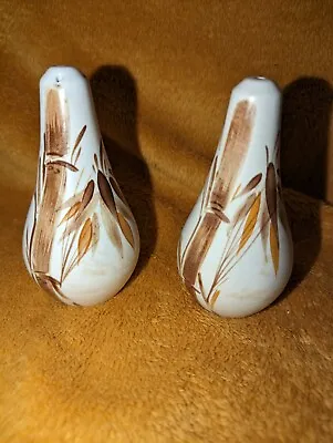 Buy Edward Radford Hand Painted Pottery ~  Bamboo  Salt And Pepper Pot ~ England VGC • 8£