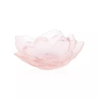 Buy New Daum Crystal Numbered Ed. Camellia Pink Bowl Small #05733-1 Brand Nib F/sh • 835.94£
