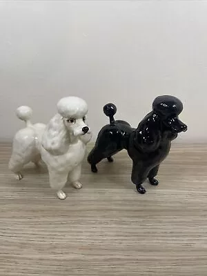 Buy Beswick White & A Black Gloss Poodles Model 2339 - 1971-1983 By Graham Tongue • 33.50£