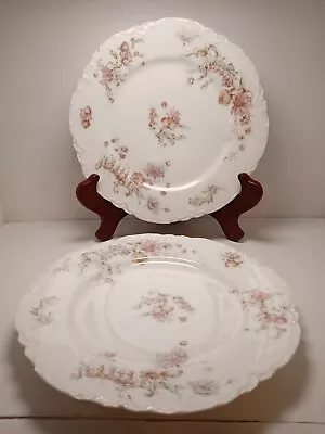 Buy Theodore Haviland Limoges China 2 Plates 8 1/2  Pink Flowers On Vine • 24.34£
