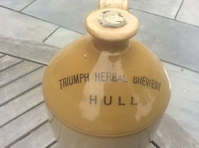 Buy HULL Brewery Stoneware Flagon Breweriana Triumph Herbal Brewery Advertising RARE • 145£