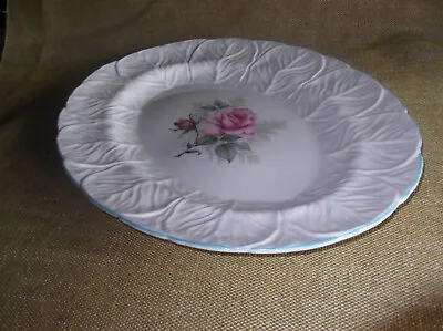 Buy Vintage Large Coalport Oval Rose Plate In The Countryware Style • 5£