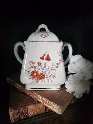 Buy Royal Semi Porcelain John Maddock & Sons Bisquit Jar • 20.84£