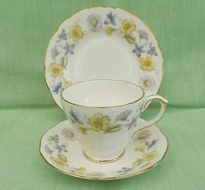 Buy Duchess  Spring Days  Bone China Cup, Saucer & Plate Trio - Violets, Primroses • 9.99£