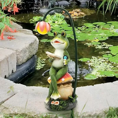 Buy GardenKraft Solar Light-Up Reading Frog / Charming Traditional Garden Ornament • 16.99£