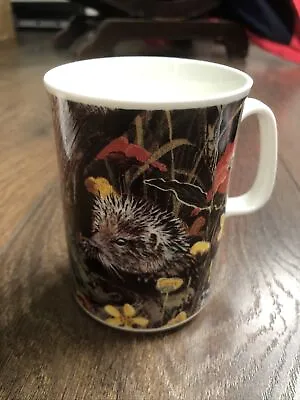 Buy Hedgehog China Mug • 5£