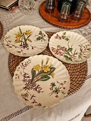 Buy 3 X S. Hancock Pottery Plates & Cake Stand Wild Flowers Design 1880s • 18£