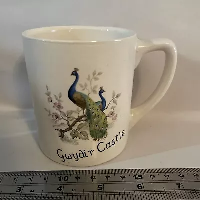 Buy Vintage Peacock Themed GWYDIR CASTLE Mug - New Devon Pottery • 6.39£