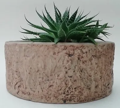 Buy Vintage Moira Pottery Hillstonia Bark Effect Shallow Planter Succulents Cacti • 15.99£