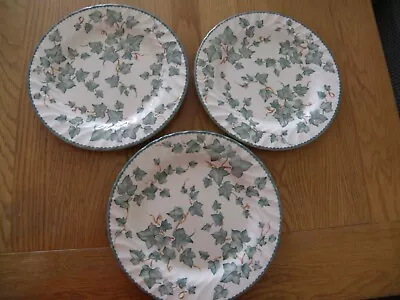 Buy 3 Large Country Vine Dinner Plates • 20£