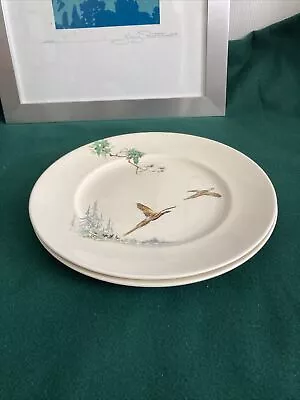 Buy 2 Royal Doulton 'The Coppice' Dinner Plates 26.5 Cm • 12£