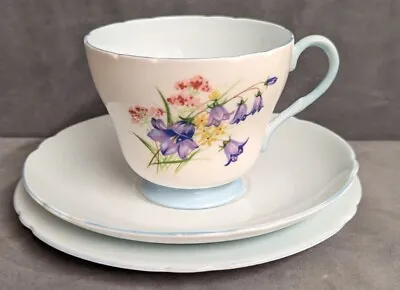 Buy Vintage Shelley Fine Bone China Tea Cup, Saucer & Plate Trio. Floral Design. • 12.50£