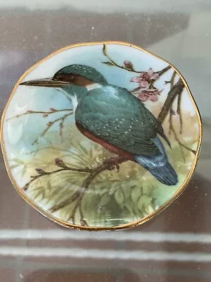 Buy Miniature Decorative Bone China Kingfisher Plate,  7cm Wide • 2.99£