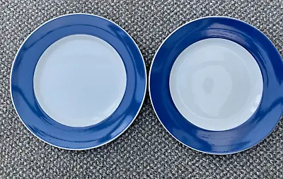 Buy Pair Of TG Green Pottery Blue & White  JERSEY  10   DINNER  PLATES • 22£