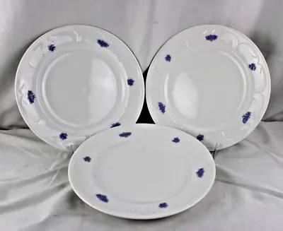 Buy Royal Adderley Chelsea Ware Lavender Grape Leaves Set 3 Dinner Plates • 41.38£
