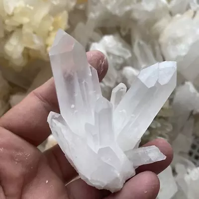 Buy Clear Quartz Crystal Cluster Large Specimen Healing White Mineral Rough Natural • 23.15£