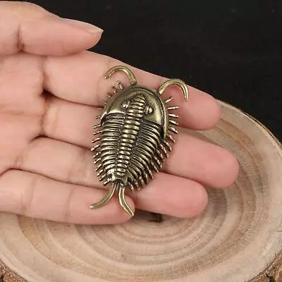 Buy Mini Trilobite Figurine Animal Ornaments Education Cambrian Animal Sculpture For • 7.30£