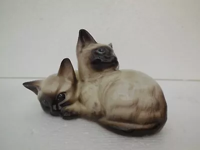 Buy Beswick Siamese Kittens • 7£