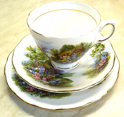 Buy Vintage, Bone China Trio, By Royal Vale, Country Cottage Pattern • 12£