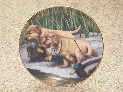 Buy Walkin’ The Dog-Franklin Mint Fine Porcelain Decorative Plate By Robert Christie • 15£