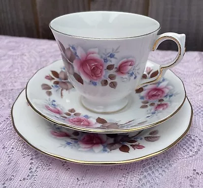 Buy Queen Anne Bone China Tea Trio - Cup Saucer & Side Plate Pink Roses • 5.99£