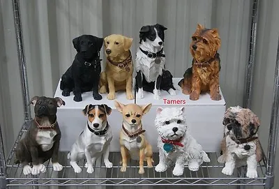 Buy Large Sitting Dog Statue - Chihuahua, Westie, Collie, Staffy, Labrador, Shih Tzu • 24.99£