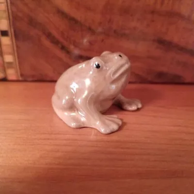 Buy Szeiler Frog • 30£