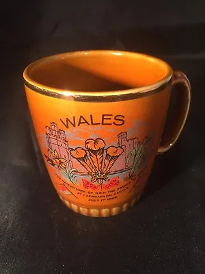 Buy The Investiture Of HRH The Prince Of Wales 1969 Lord Nelson Pottery England • 9.99£