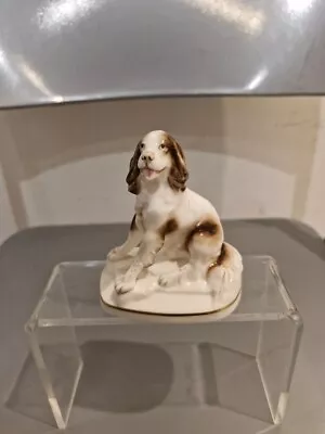 Buy Royal Worcester Springer Spaniel Dog K. Potts- Bone China - Cg T14 • 8.99£