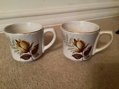 Buy Vintage 1970s Kernewek Cornish Pottery Autumn Rose 2 X Teacups • 5£