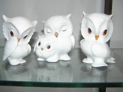 Buy Beautiful Lot Of Royal Osborne White Bone China Owls Set Of 3 Tmr3289 3409 1419 • 19.95£