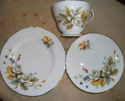Buy Duchess 'autumn' Tea Trios: Cups,  Saucers & Teaplates   *10 Available* • 5£