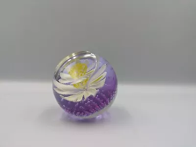 Buy Purple Caithness Glass Scotland Paperweight Round Controlled Bubble Daisy Flower • 39.99£