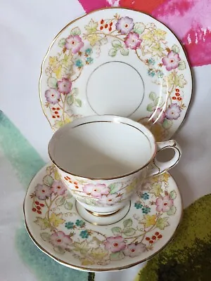 Buy Royal Stafford Hedgerow Bone China Tea Cup, Saucer And Side Plate Hand Painted • 15.95£