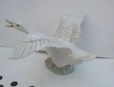 Buy Lladro Figure - Swan • 19£