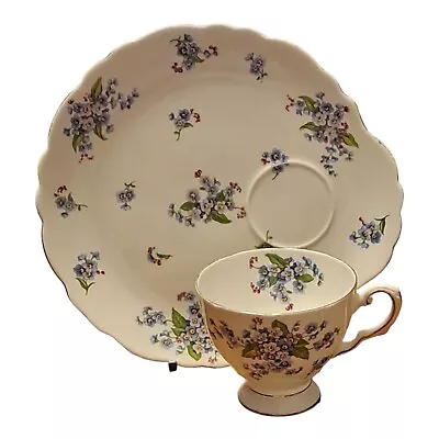 Buy Royal Tuscan Forget-Me-Not Tea Cup And Extended Saucer Snack Plate Rare VGC • 9.99£