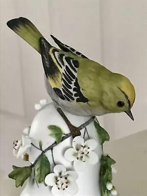 Buy Lovely Franklin Mint Peter Barrett THE GOLDCREST Porcelain Bird Bell Ornament • 15£