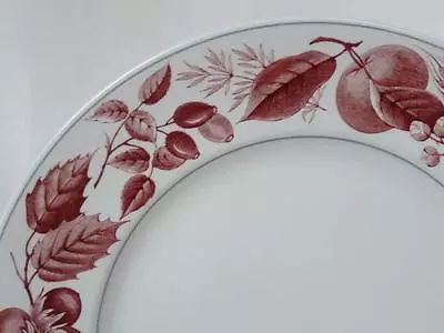 Buy Ridgway Bountiful Red Pattern Salad Plate 8  Staffordshire England • 11.57£