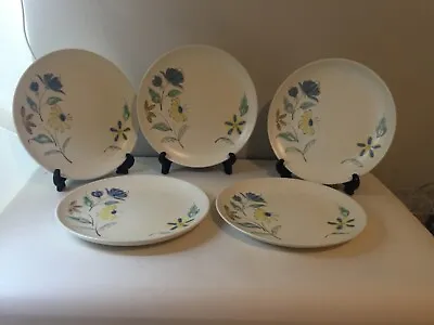 Buy Poole Pottery Summer Days Five Dinner Plates • 30£