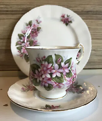 Buy Paragon Mayflower Trio Coffee Cup Saucer Tea Plate Bone China. More Available • 7.99£