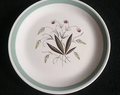Buy  ALFRED MEAKIN Hedgerow 10 Inch Plate X1  C1950+  • 8.50£
