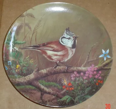 Buy Haubenmeise Im Unterholz  - Crested Tit In The Undergrowth Collectors Plate • 9.99£