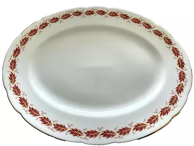 Buy Paragon ELEGANCE Pattern Fine Bone China 13 1/4” (33.5cm) Oval Meat Platter • 20£