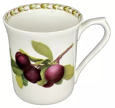 Buy Queen'sThe Royal Horticultural Society HOOKERS FRUIT 'PLUM' Fine Bone China Mug • 18.95£