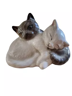 Buy  ROYAL DOULTON CAT KITTENS, QUIET PLEASE .  GREY & WHITE GLOSSY 2.5 Inch • 12£
