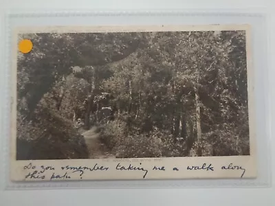Buy The Woods, Colwyn Bay - Aller Vale - Printed - Posted 1906 • 2.75£