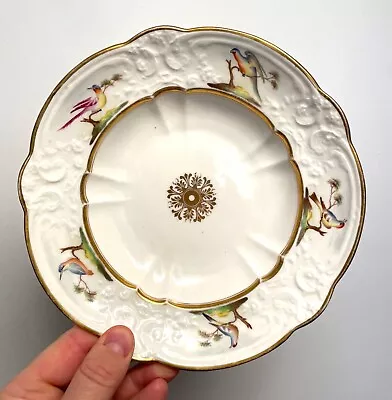 Buy A Fine Quality Antique Swansea Welsh Porcelain Bowl Decorated With Birds • 62.01£