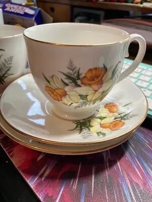 Buy 2 X Royal Grafton Bone China Cup And Saucer - White With Daffodils • 5£